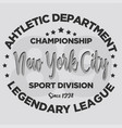 new york city sport division college league vector image vector image