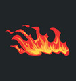 burning fire effect and flame border of wildfire vector image