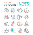 set flat line icons nuts vector image
