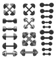 big set fitness dumbbells in vintage vector image vector image