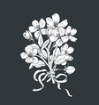 blooming tree hand drawn botanical blossom vector image