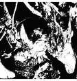 roots vector image