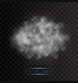 smoke or cloud effect vector image