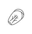 chinese cabbage line outline icon vector image