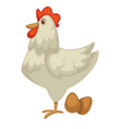 hen and eggs farm chicken dairy product vector image