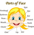 cartoon child girl vocabulary of face parts vector image