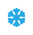 christmas snowflake isolated vector image