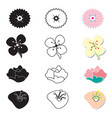 cute flower icon on white background vector image vector image