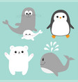 arctic polar animal icon set white bear penguin vector image