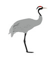 grus - common crane side view flat vector image vector image
