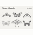 set of butterflies realistic drawing sketch vector image