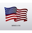 united states of america flag design vector image