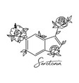 serotonin formula vector image vector image