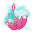 cute cartoon elephant in an umbrella with flowers vector image