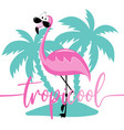 tropicool- funny slogan with flamingo on island vector image vector image
