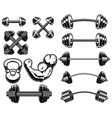 set weightlifting barbells and dumbells vector image