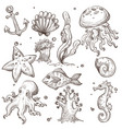 underwater fish and creatures isolated sketches vector image