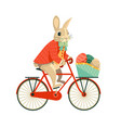 funny rabbit bunny ride bicycle with easter eggs vector image