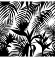 black white seamless tropical jungle vector image