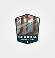 sequoia national park patch design giant tree vector image
