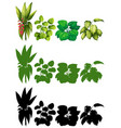 set of plant for decoration vector image vector image