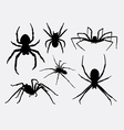 spider insect animal silhouettes vector image