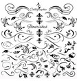 set of vintage styled calligraphic elements vector image