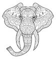 adult coloring bookpage a head of elephant image vector image