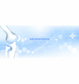 medical orthopedic knee bone vector image vector image