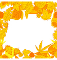 autumnal seasonal frame vector image