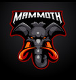 mammoth mascot logo vector image vector image