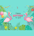 birthday card congratulation template vector image vector image