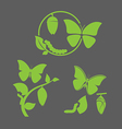 butterfly cycle vector image vector image