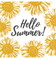 hello summer greeting card vector image