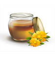honey in a jar on a white background vector image vector image