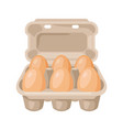 brown chicken eggs in carton pack vector image vector image