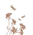dragonfly and fantasy vector image