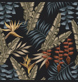 exotic jungle seamless black background vector image