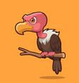 cute vulture bird vector image vector image