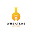 wheat lab logo icon vector image