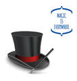 magician top hat with stick vector image