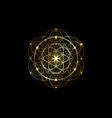 seed life symbol sacred geometry flower vector image vector image