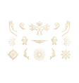 line elegant decoration design elements set vector image vector image