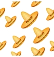 sombrero background vector image vector image
