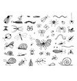 set of hand drawn insects or small animals sketch vector image