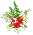 floral tropical composition white background vector image