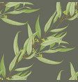 seamless pattern with hand drawn seeded eucalyptys vector image vector image