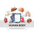 cartoon healthcare elements round concept vector image vector image