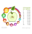 vitamins in apple vector image