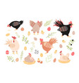 cute roosters hens and chickens floral elements vector image